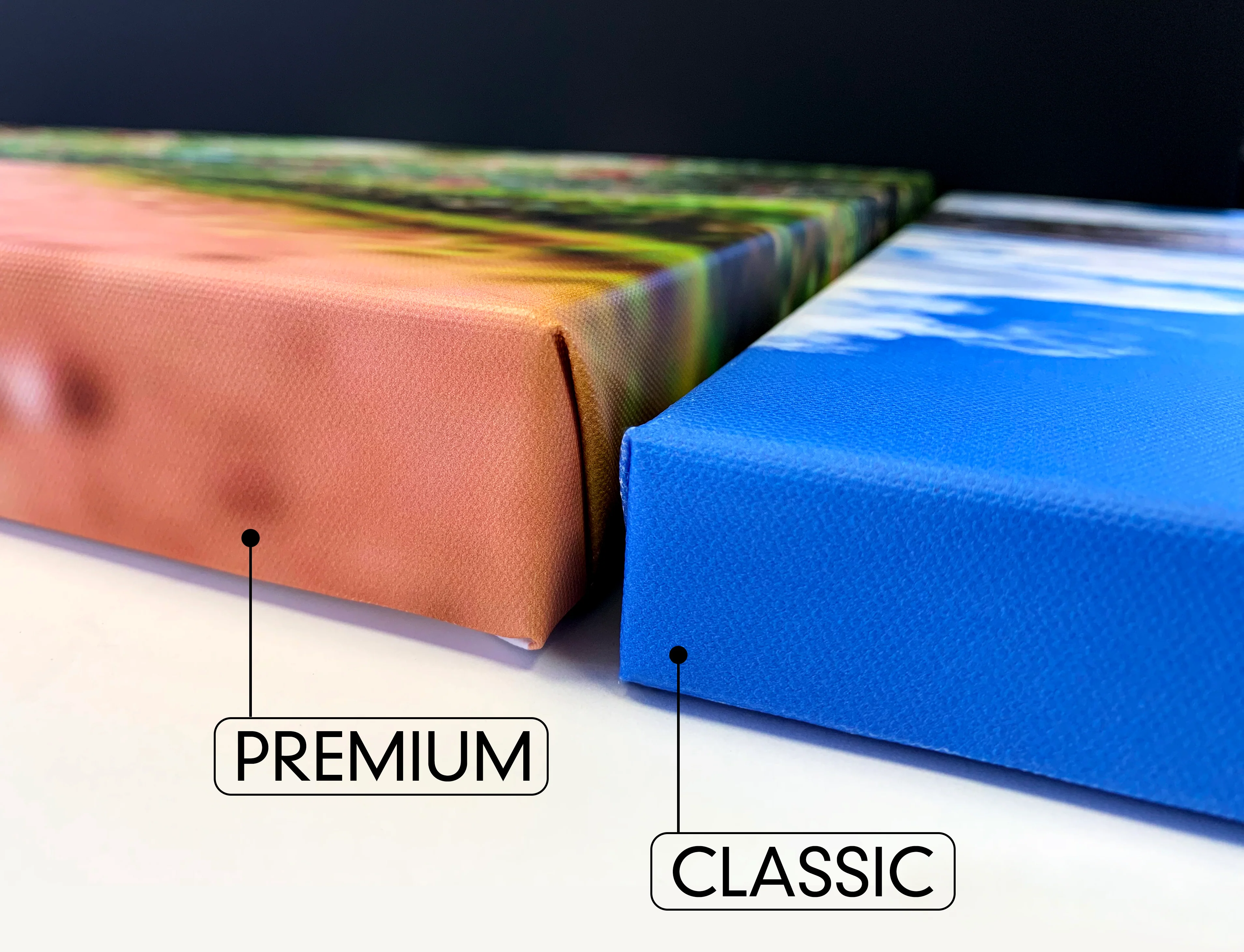 Canvas Prints - Image 3