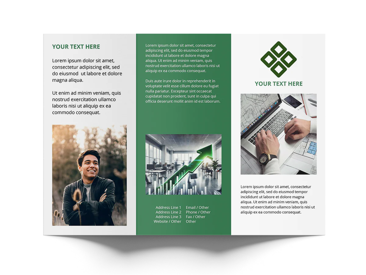 Tri-Fold Brochure - Image 7